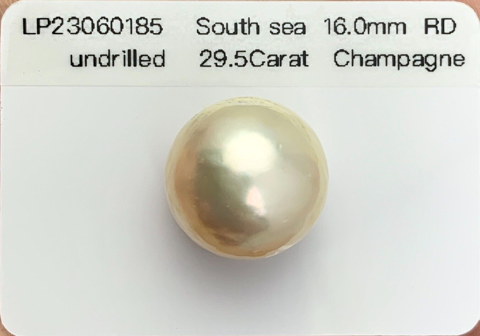 Big 16.0mm Round Champagne South Sea Loose Pearl Undrilled, High Luster