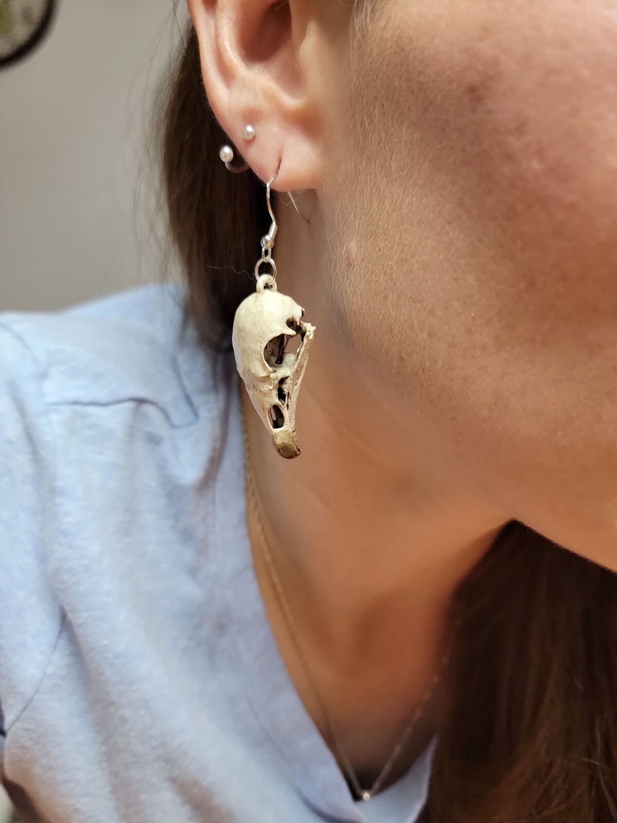 Turkey Vulture museum grade 3D replica skull bone earrings euromount style new