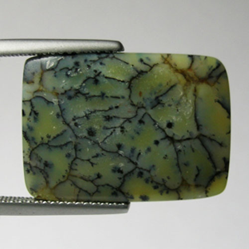 23.14 ct ULTRA RARE FINE GRADE NATURAL OPAL CUSHION – CABOCHON 1662 N.7