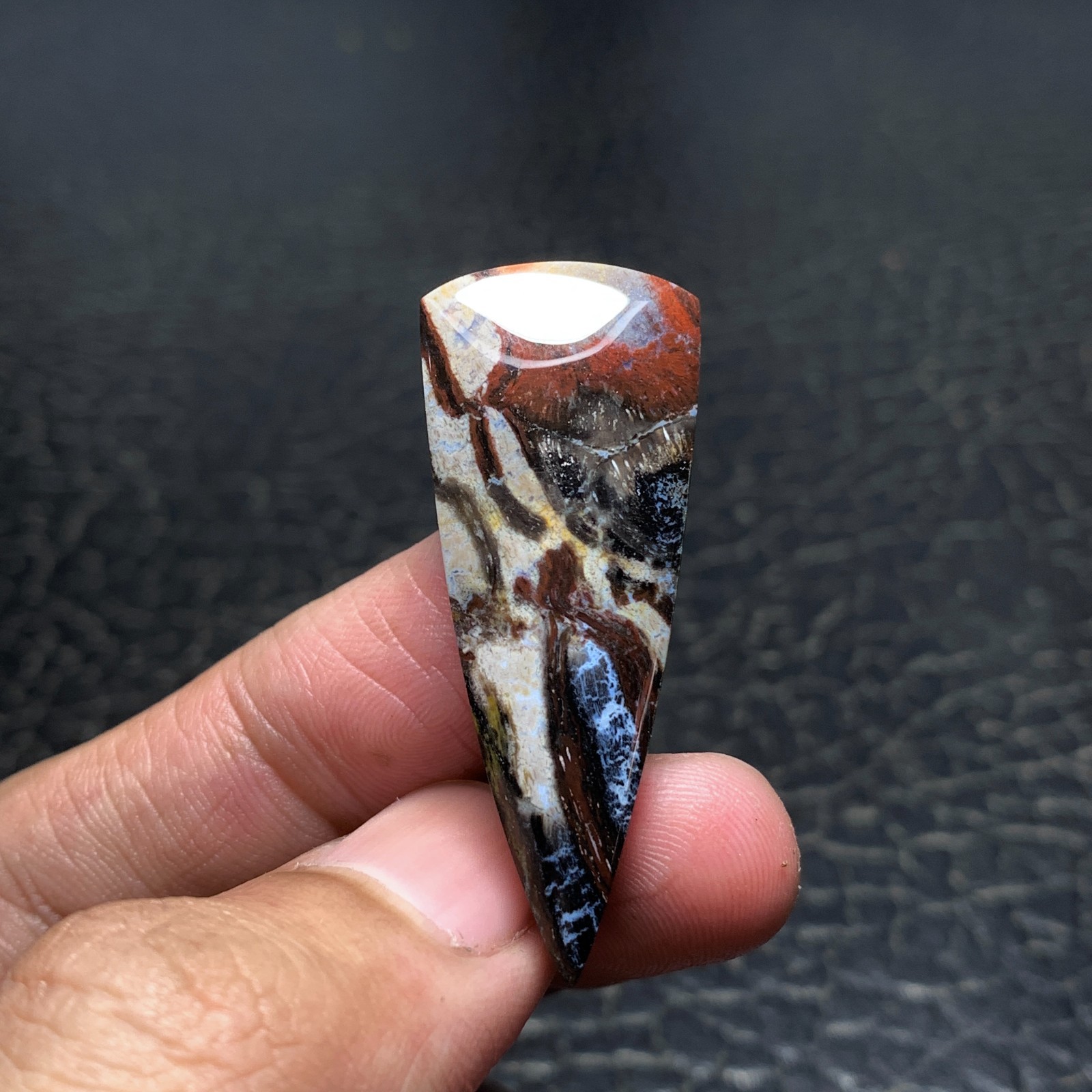 Petrified Wood Cabochon 40x16x6mm High Quality 25 ct