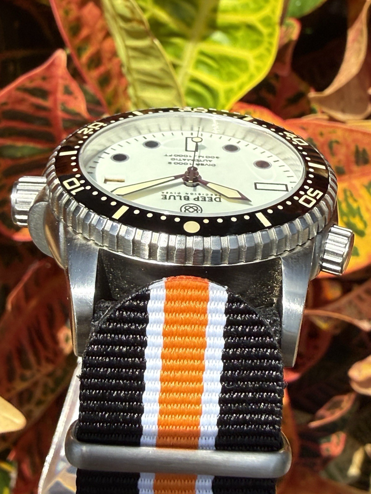 Deep Blue Precision Diver 1000 II 40mm White Full Lume Dial Nato Box Papers