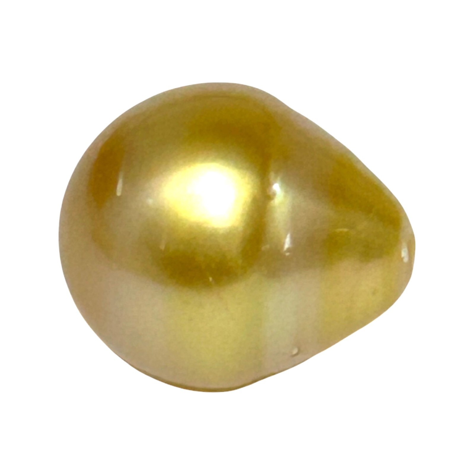 Magnificent Oval 14.6 x 16.8mm 23.2 Carats Lustrous Golden Philippine Sea Pearl
