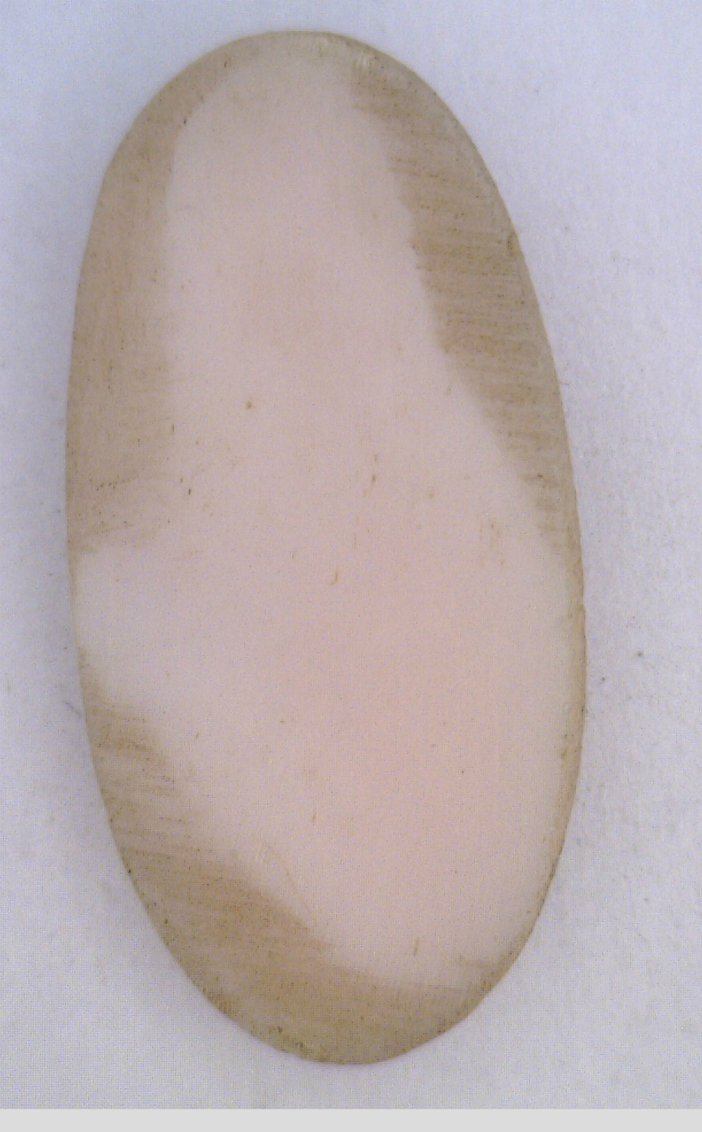NOS Antique Oval Carved Shell Detailed Cameo Stone Piece 24 mm x 12 mm #ZZ74