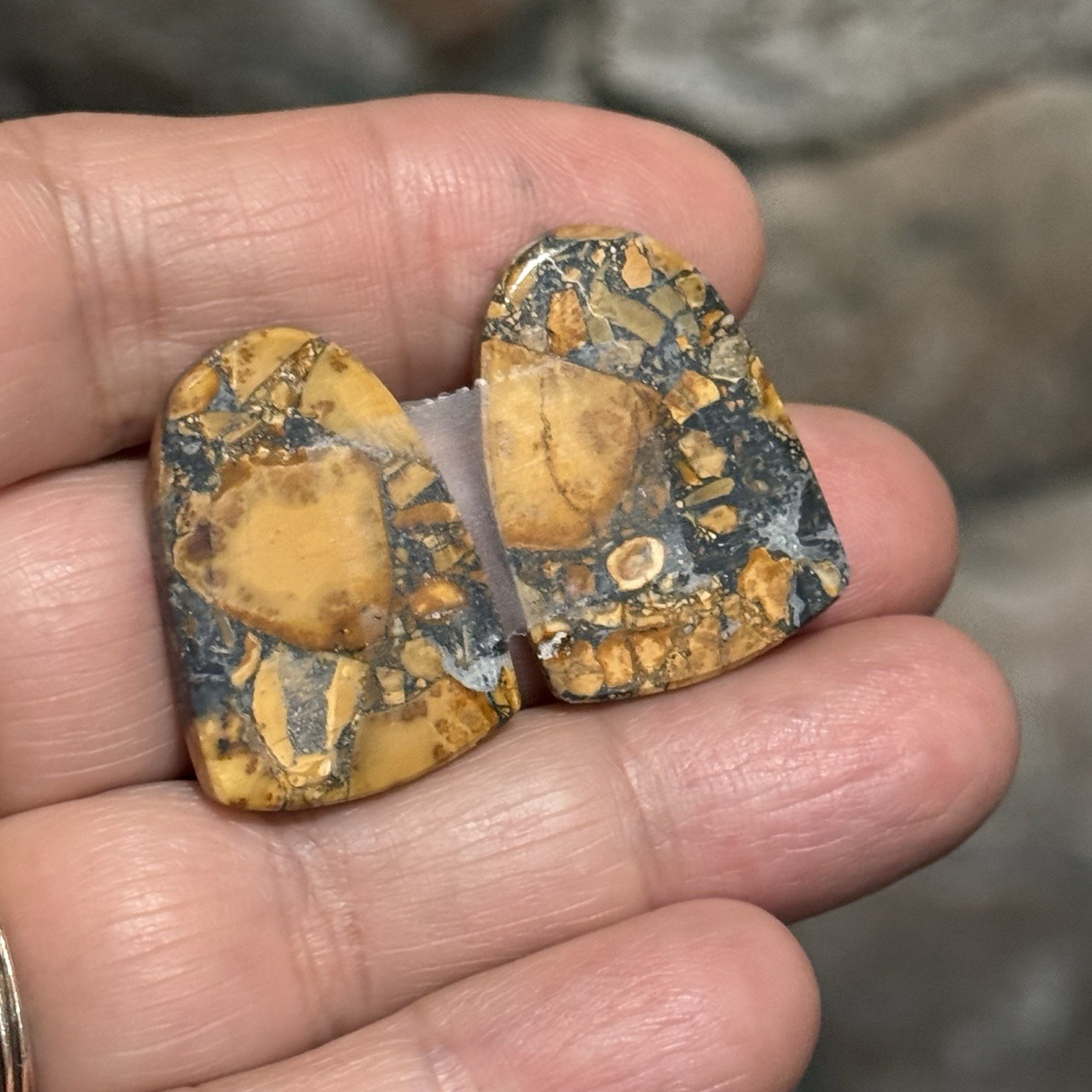41.6ct 26.5×18.5x4mm Pair Fine Colorful Scenic Picture Maligano Jasper Cabochons
