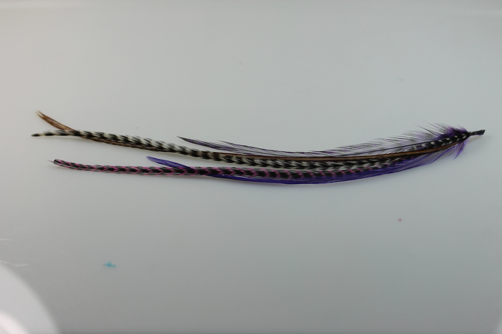 Feather Hair Extensions Five Purple & Violet 4”-6 Mix with Natural Browns Quali