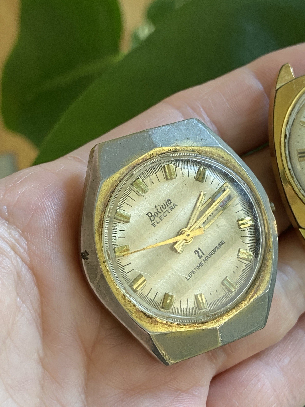 Bolivia Electra Watch & Timex Electric