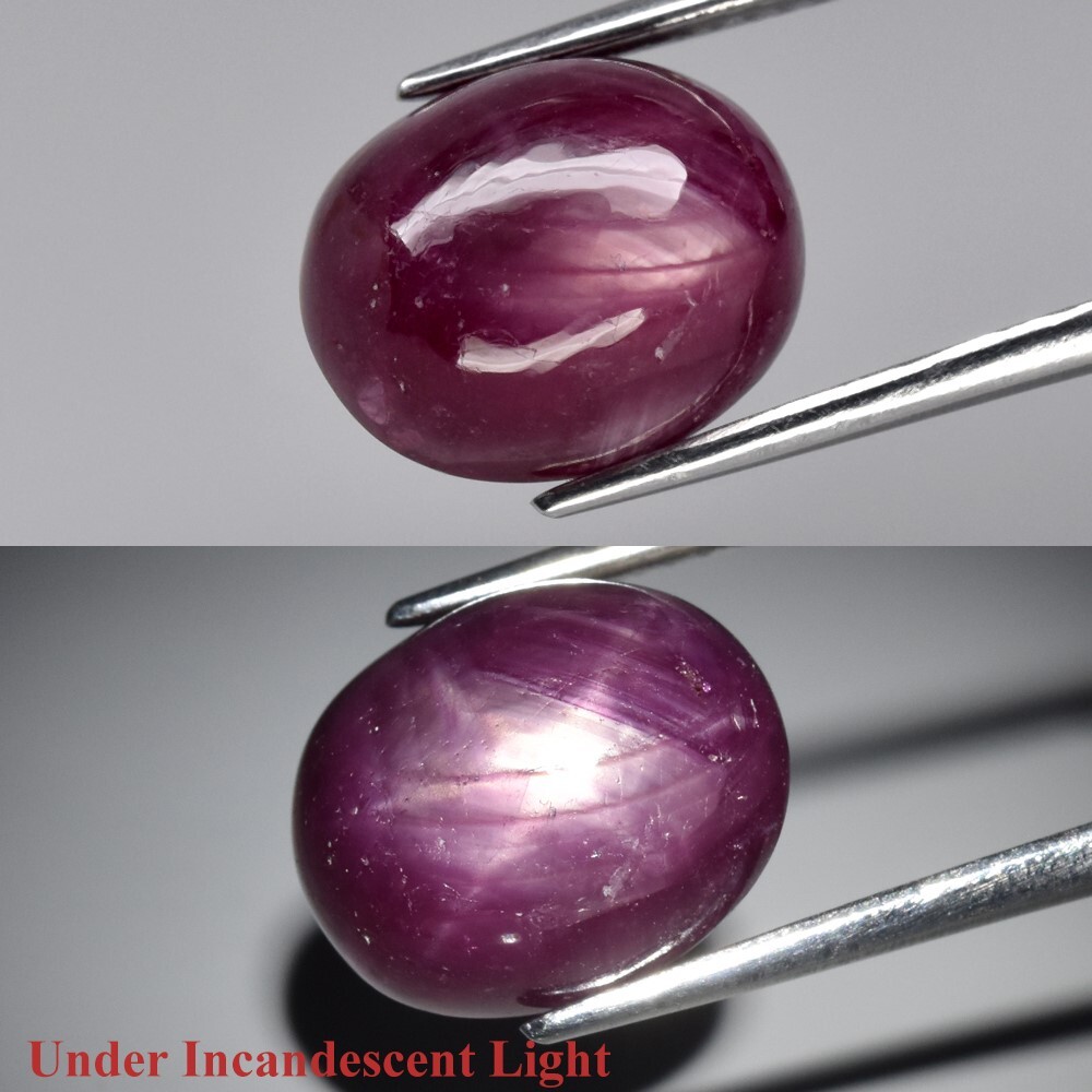 9.05ct 12×9.8mm Oval Cab Purplish Red 6 Ray Star Ruby (Heated Glass Filling)
