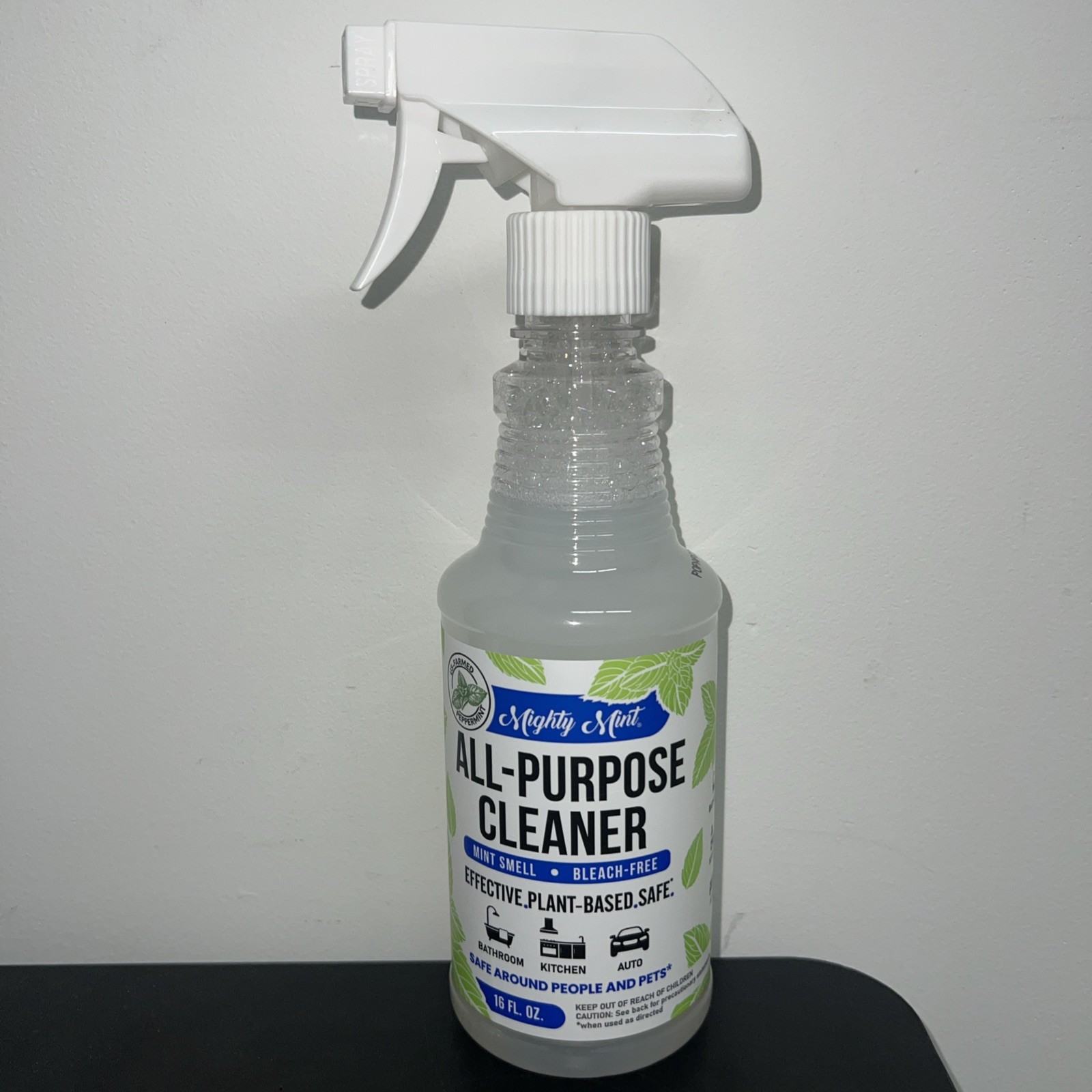 Mighty Mint All-Purpose Cleaner Spray – 16 Fl Oz (Pack of 1), Clear