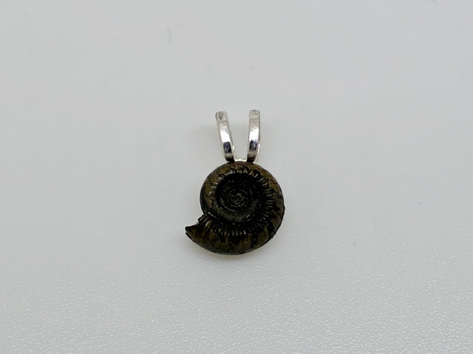 Sterling Silver Genuine Miniature Pyrite Ammonite Jurassic Fossil Pendant