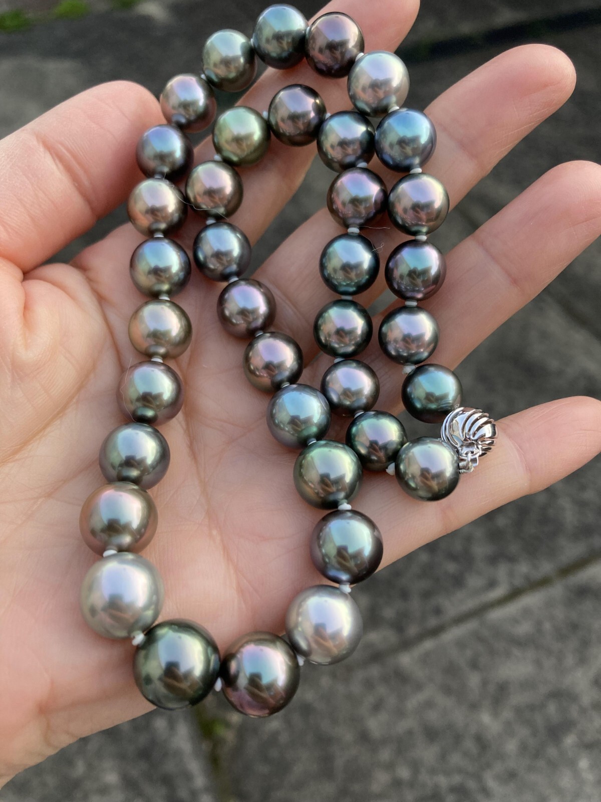 Rare Multi-gray Peacock black Tahitian Pearl 10-11.6mm Top Quality Necklace 43cm