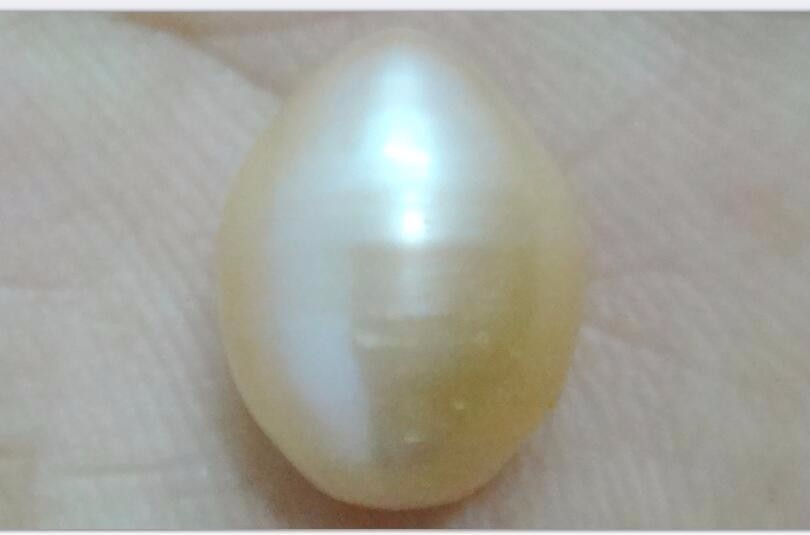 Valued Huge Natural 13×10.6mm genuine gold loose pearl great luster