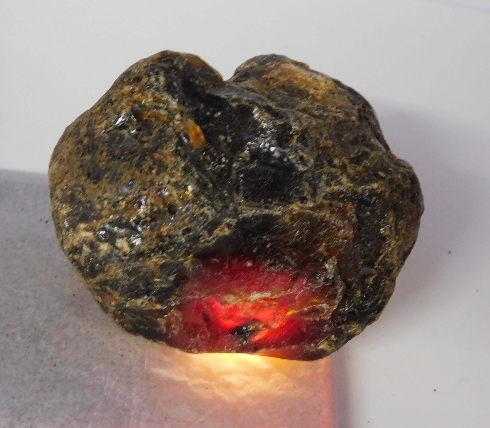 CERTIFIED 48.45 Ct Natural Orange Rough Uncut Amber Excellent Loose Gemstone