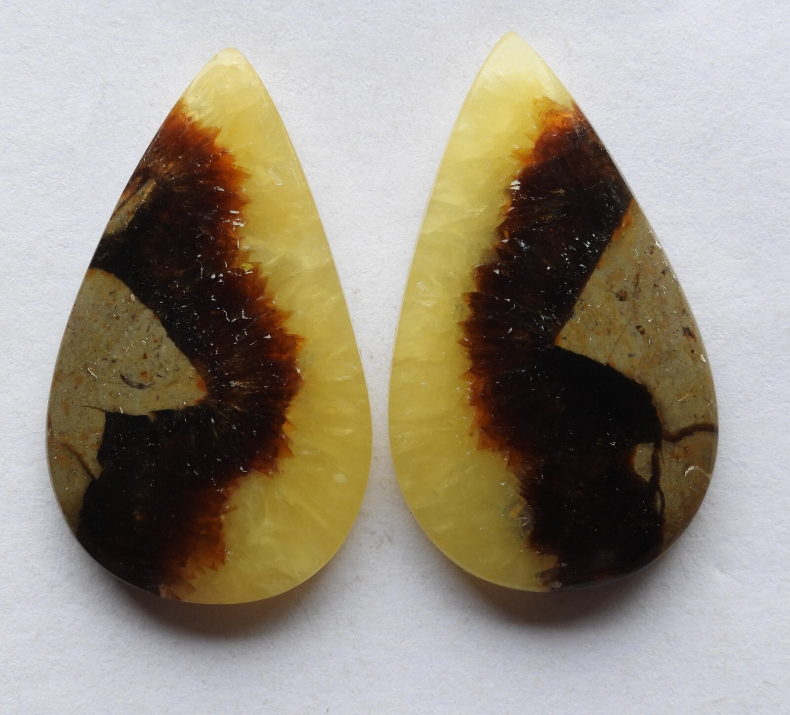 40.85 Ct Natural Yellow Septarain (30.6m X 18m Each) Cabochon Loose Match Pair