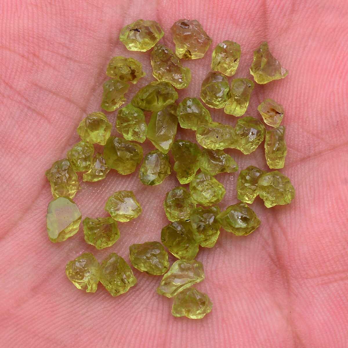 40 Pcs Natural Peridot Rough Untreated 4mm-7mm Stunning Huge Loose Gemstones Lot