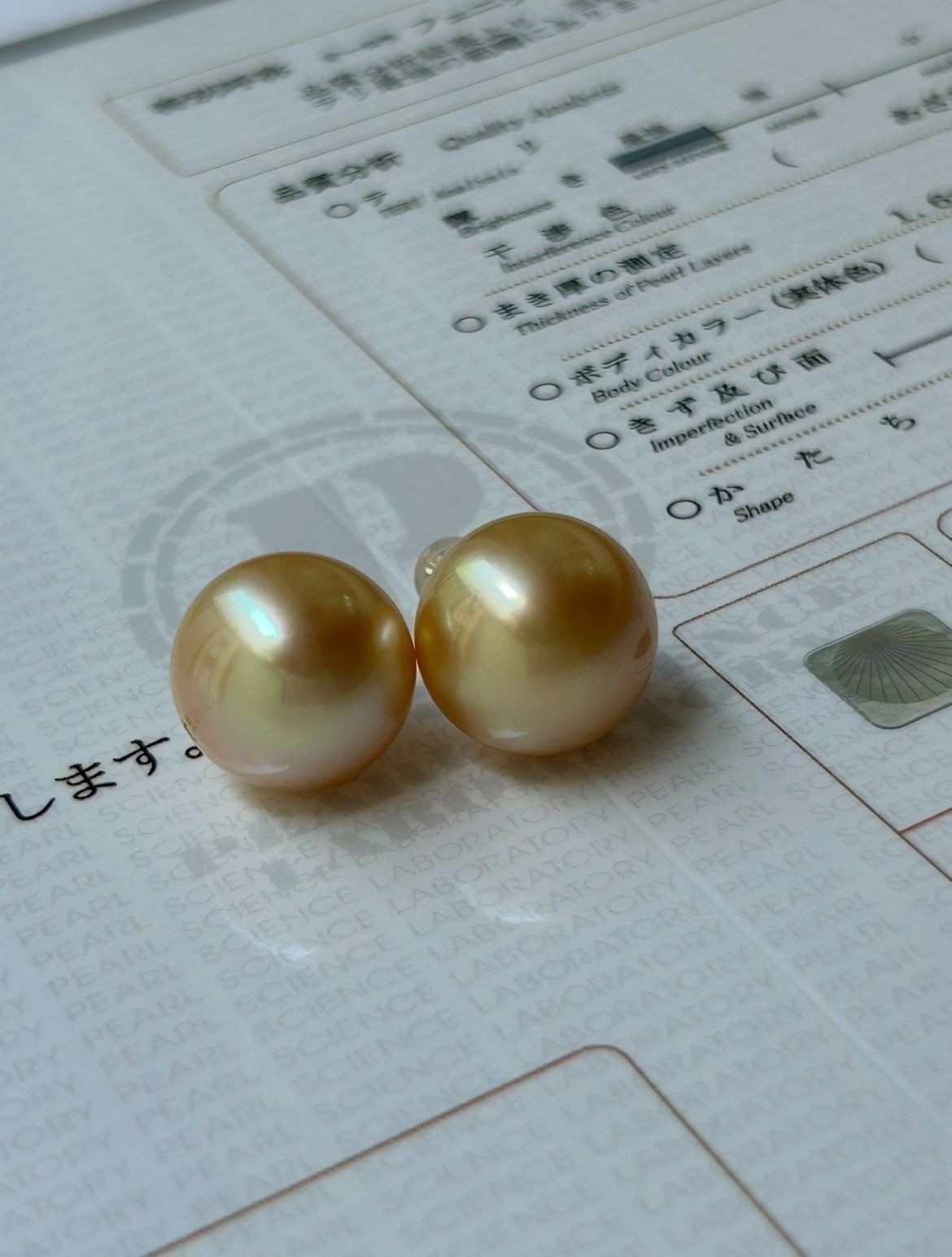 Huge 15.4mm Natural Golden South Sea Pearl 18K Gold Stud Earrings PSL Phoenix