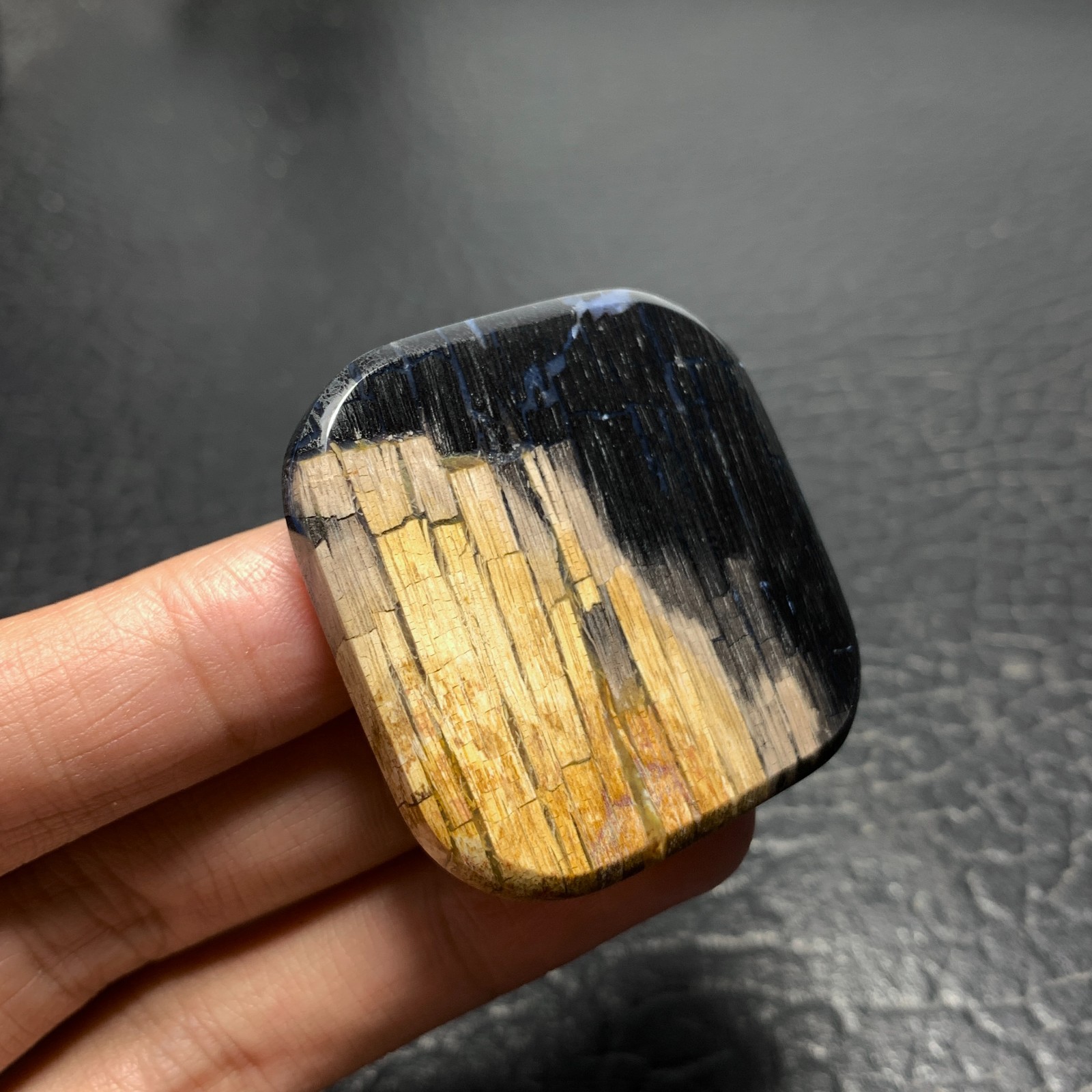 Petrified Wood Cabochon 41.5×41.5x6mm High Quality 105 ct