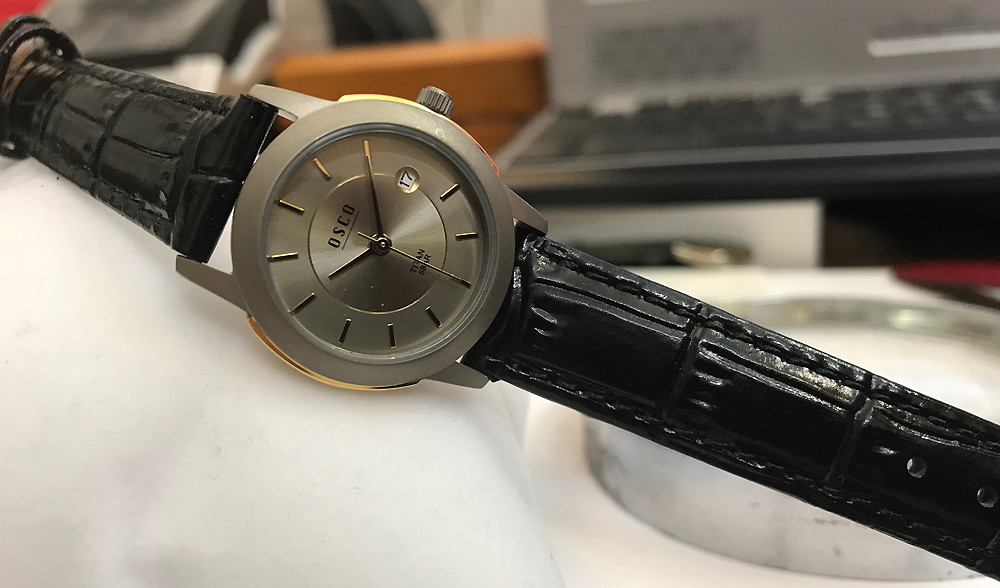 Osco Titanium Ladies Watch Two Tone Designer Dial Simple & Easy to Read