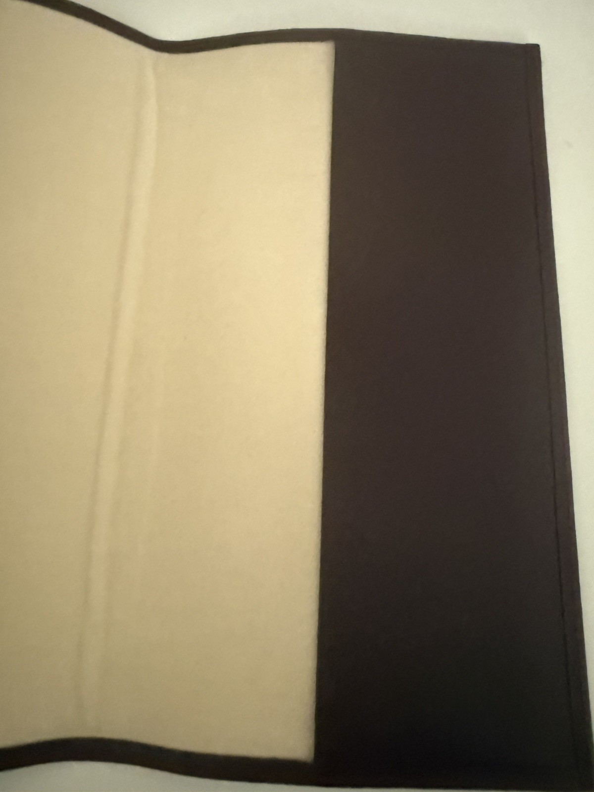 Patek Philippe Watch Genève Leather Document Holder Wallet Folder
