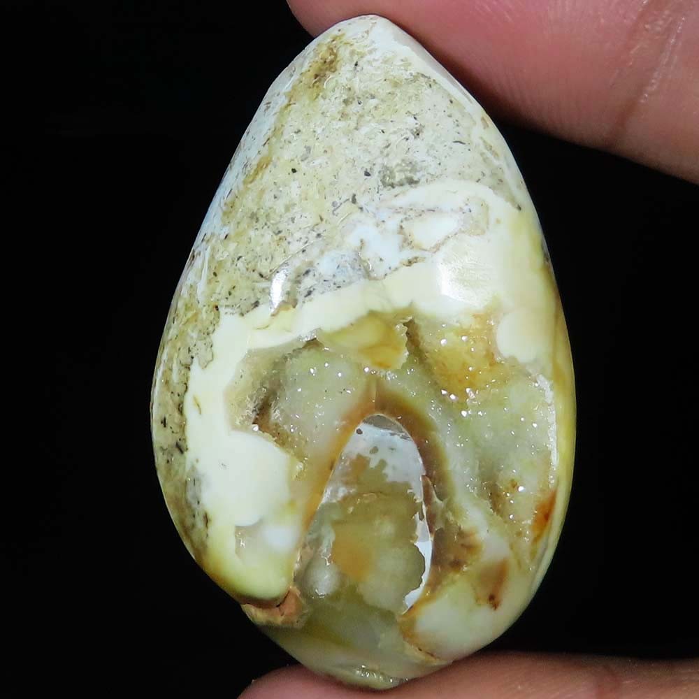 (30X46X13 MM) 141.00 Carat. NATURAL FOSSIL SNAIL DRUZY CABOCHON LOOSE GEMSTONE