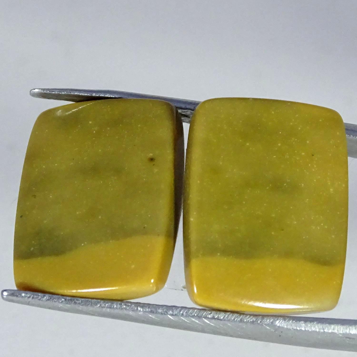 20.50Cts 100% Natural Royal Polygram Jasper Pair Cushion Cabochon 14X18X4MM