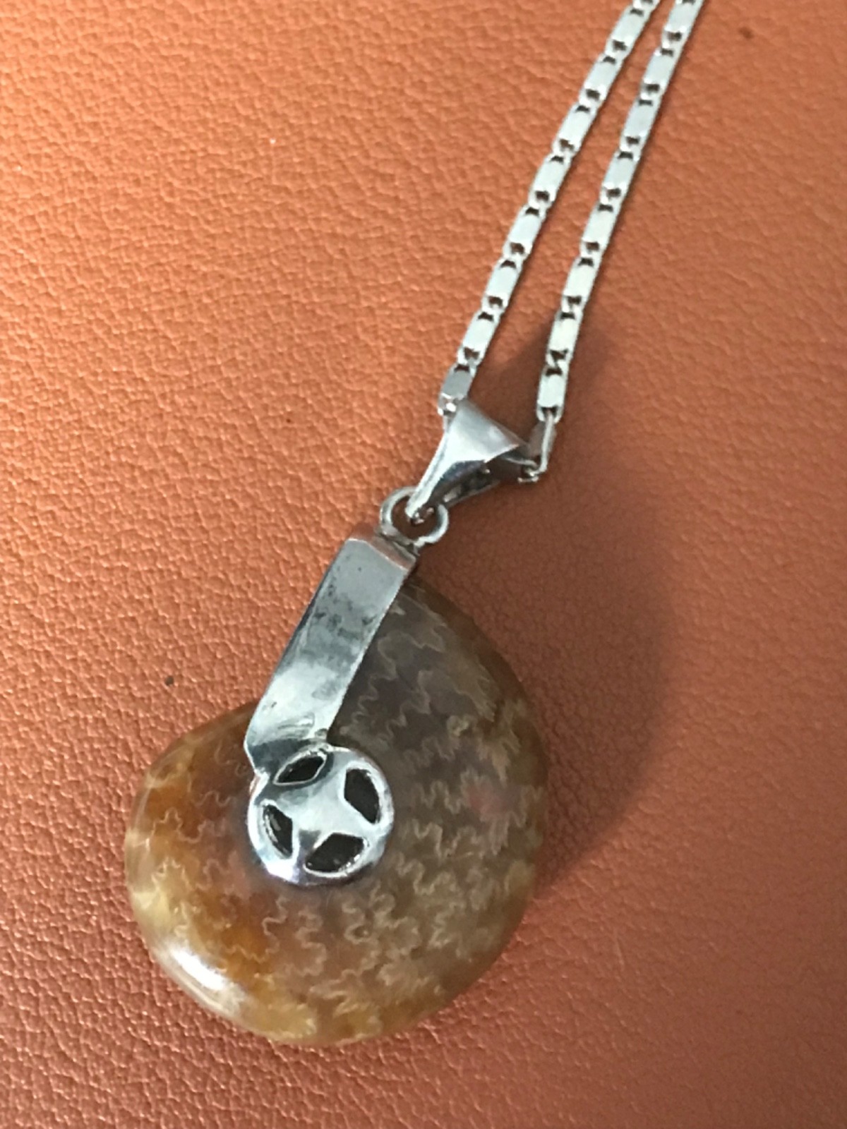 Ammonite Fossil Spiral Pendant WITH Necklace – Polished Prehistoric Shell