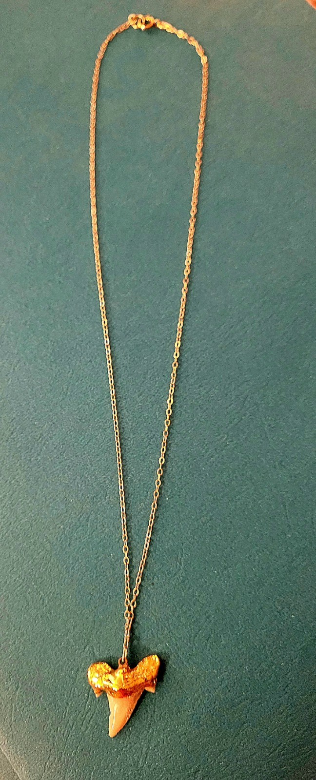 1/20 14K Yellow Gold Filled Necklace With a Genuine Shark Tooth Pendant