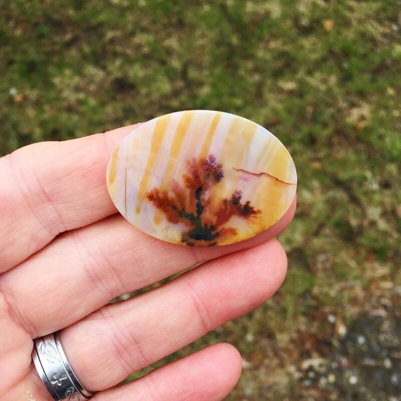 All Natural! Extra Fine Quality Dendritic Agate India GLI