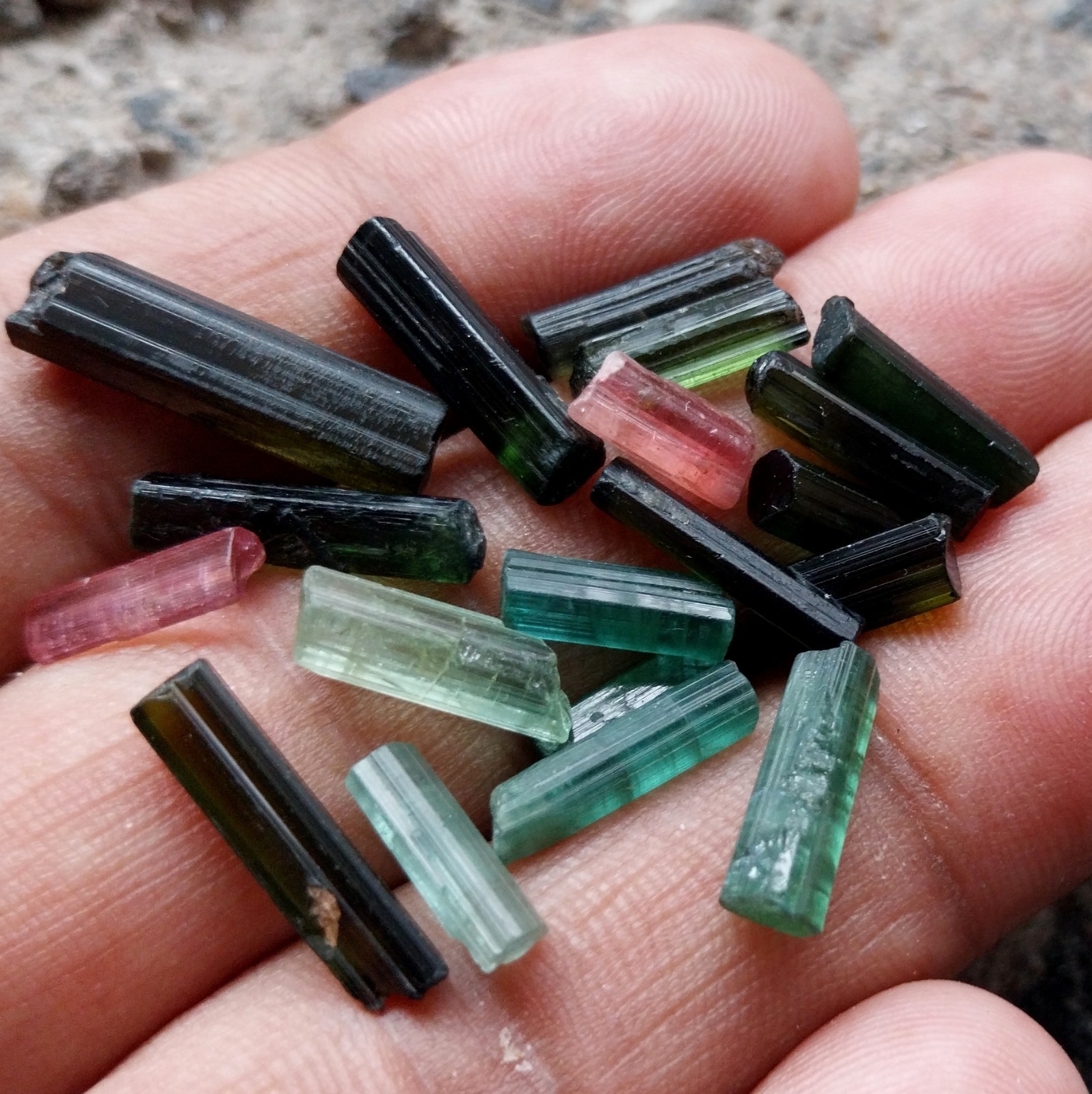 35 Carat Natural Multi Color Tourmaline Raw Rough Tube/Pencil 19 Piece Lot