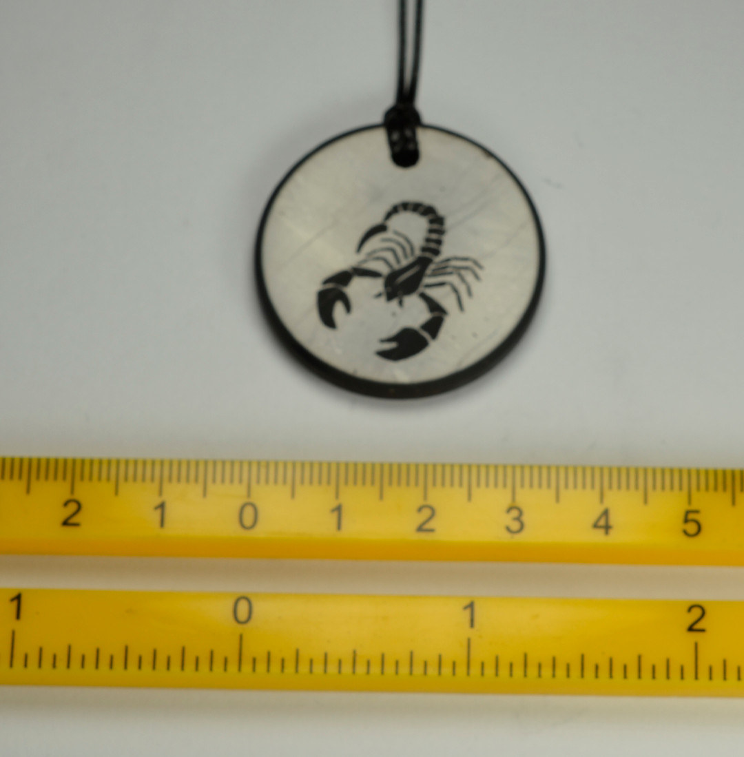 Shungite Emf Protection Necklace EMF Jewelry Pendant Zodiac Scorpio Image