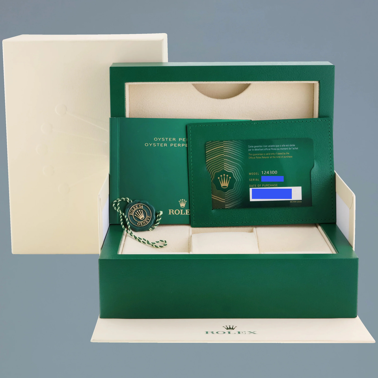 2023 NEW PAPERS Rolex Oyster Perpetual 41mm Silver Oyster 124300 Watch Box