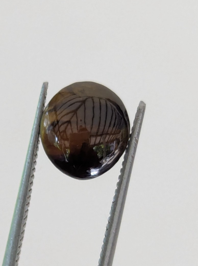 Natural Chrysoberyl Cat’s Eye 3.19ct | CSL Certified | Brown | No Treatment