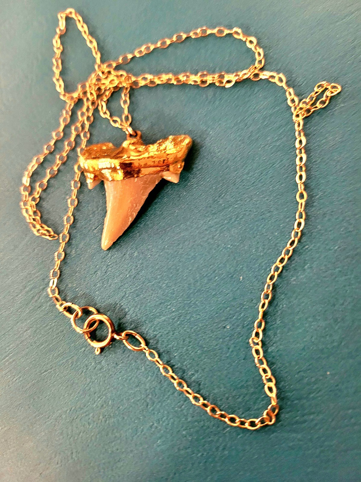 1/20 14K Yellow Gold Filled Necklace With a Genuine Shark Tooth Pendant