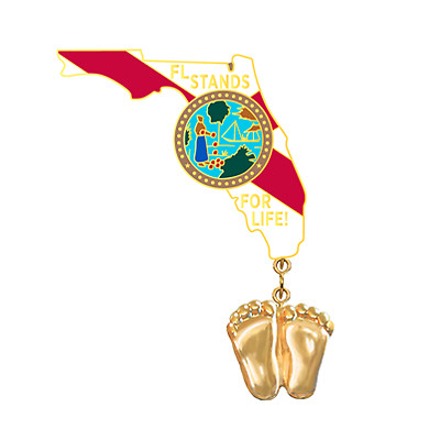 Precious Feet, 14K Gold Plated, Florida Flag Jewelry, Lapel Pin