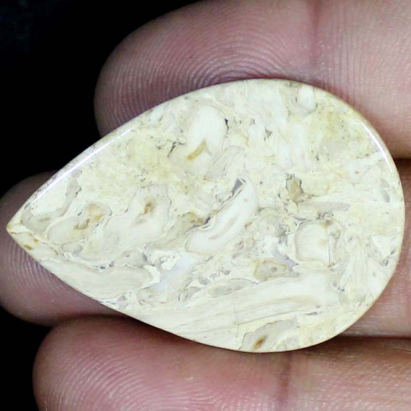 46.90 CT Natural Petrified Wood Agate PEAR Cabochon , Petrified stone 30x42x5 mm