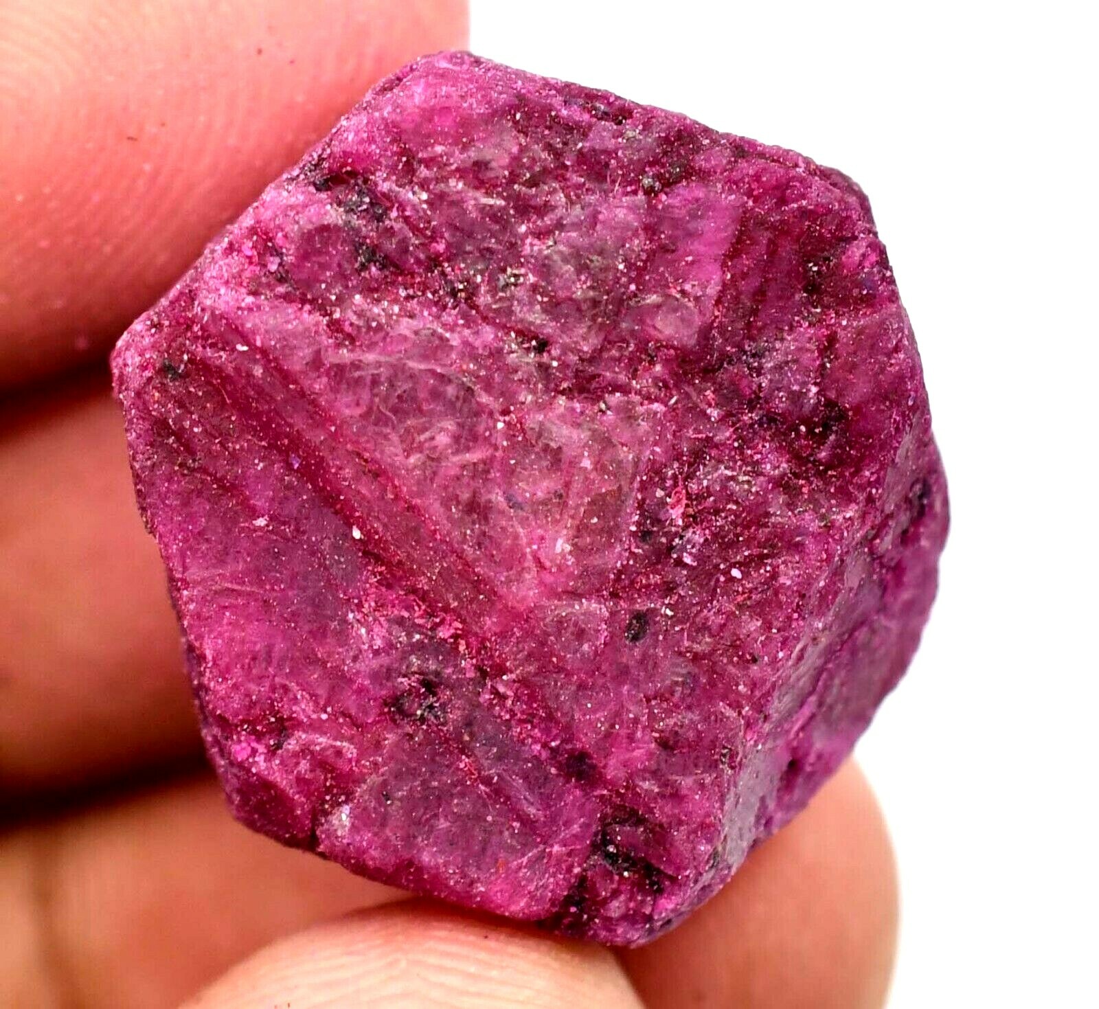 53.15 CT Natural Huge Mozambique Red Ruby 23 mm Certified Loose Treated Gemstone