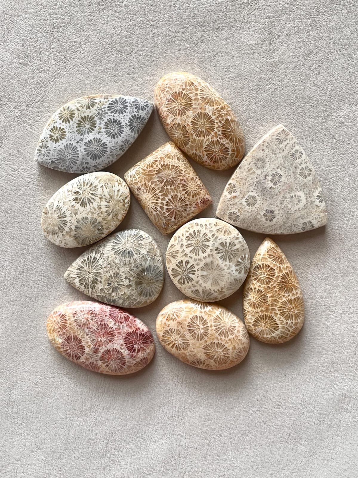 Natural Fossil Coral Cabochon Indonesian Fossilized flat back flower Gemstone