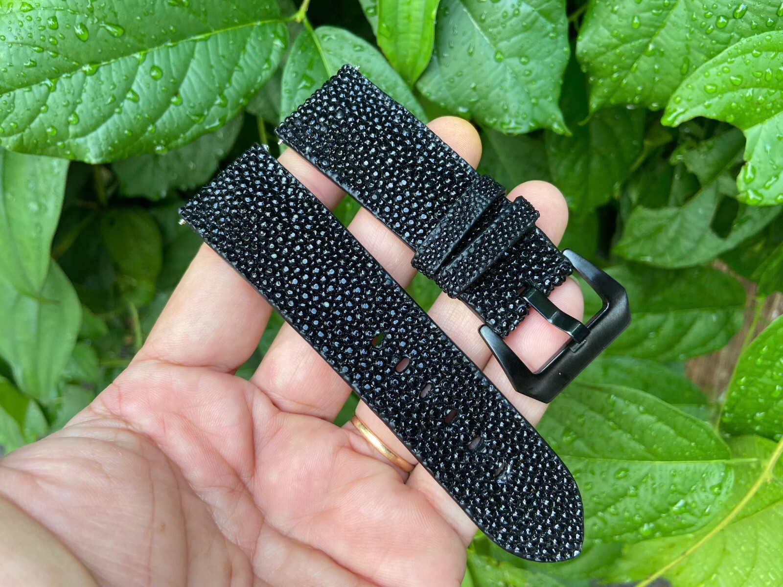 Black Stingray Leather skin Watch Strap Band 12 14 18 19 20 21 22mm 23 24mm 26mm
