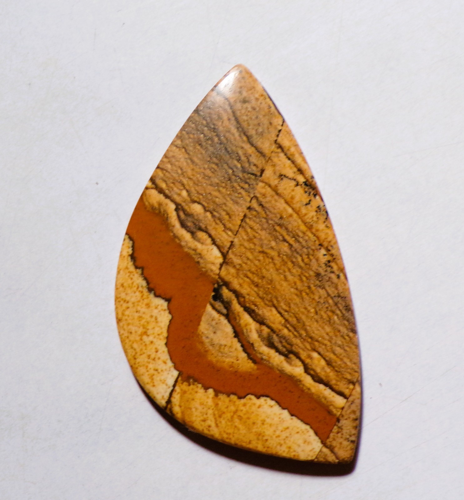 54.60 Cts Natural Picture Jasper Cabochon Loose Gemstone 53.4X30.6X4MM