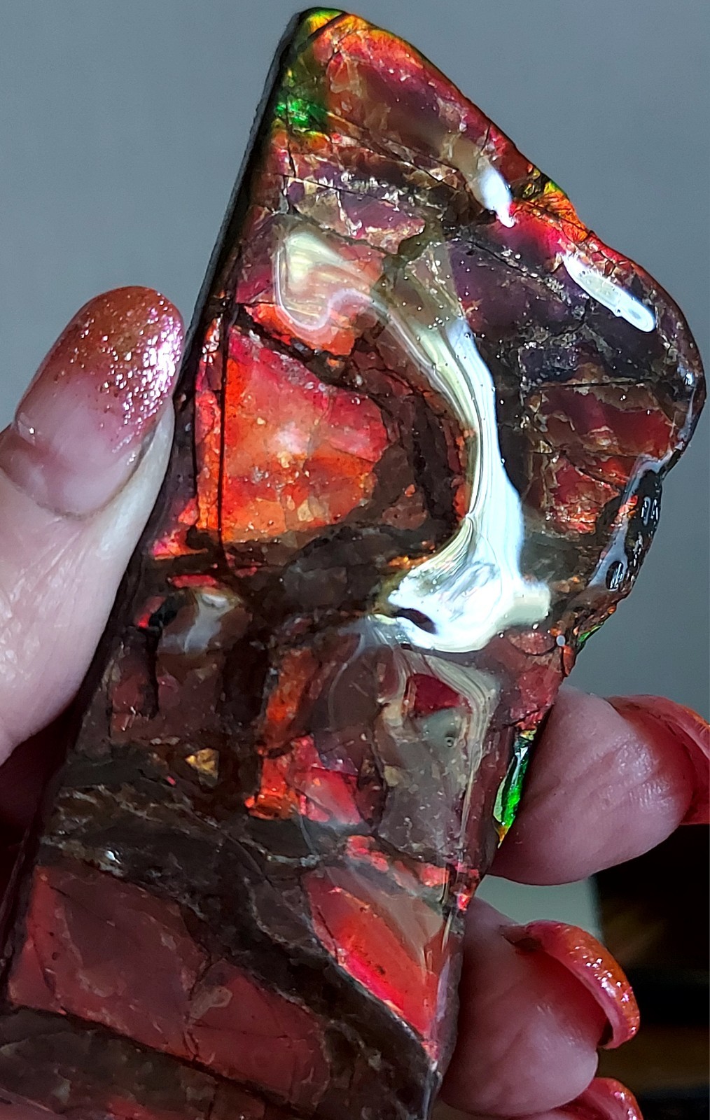 Ammolite Ammonite tabletop Display Color Changer Piece 99.845×12.3mm 5757