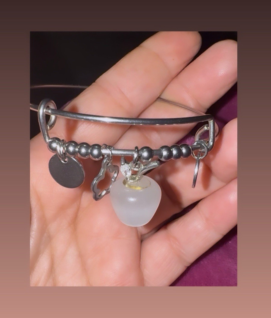 Stainless steel/ Apple of abundance adjustable bracelet