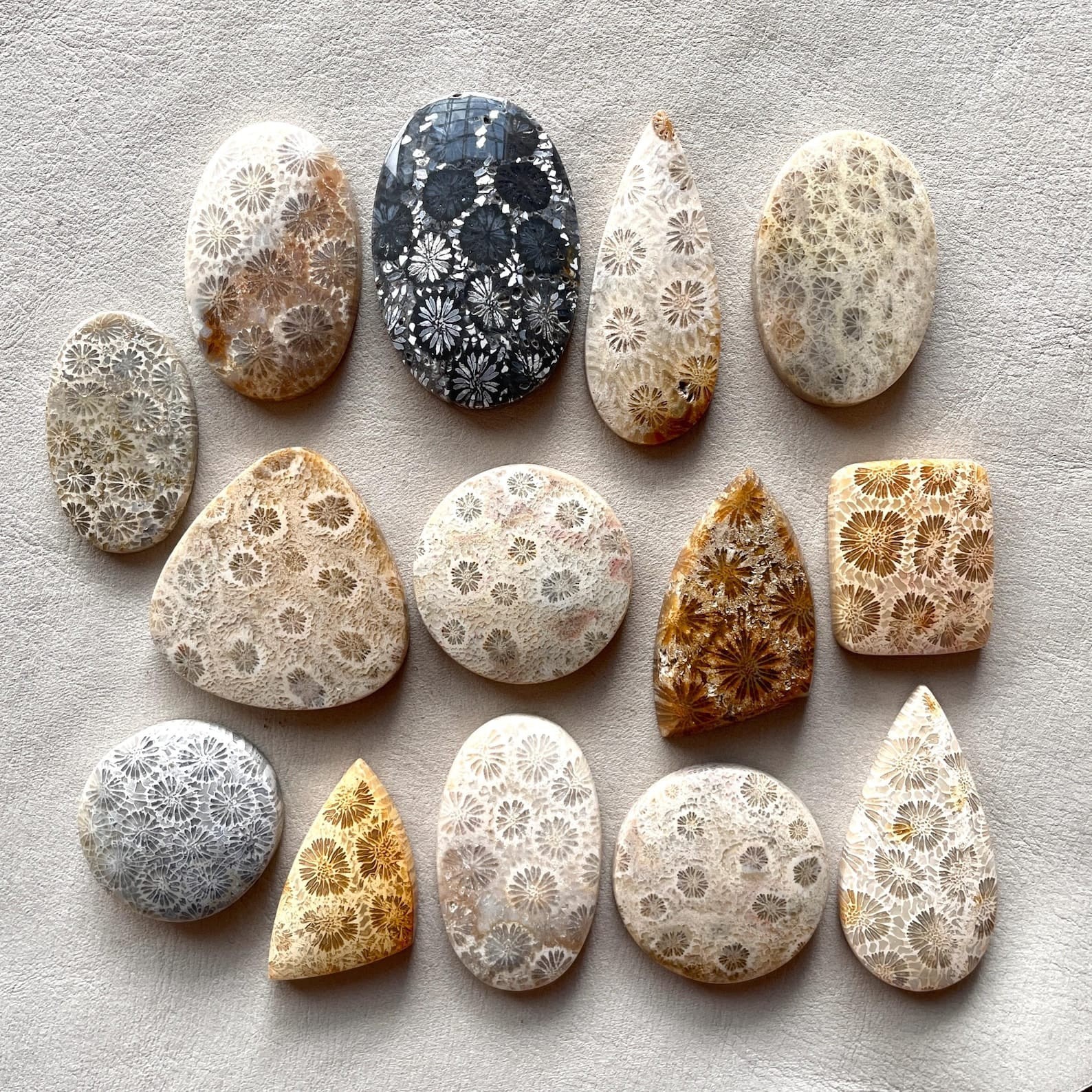 Natural Fossil Coral Cabochon Indonesian Fossilized flat back flower Gemstone