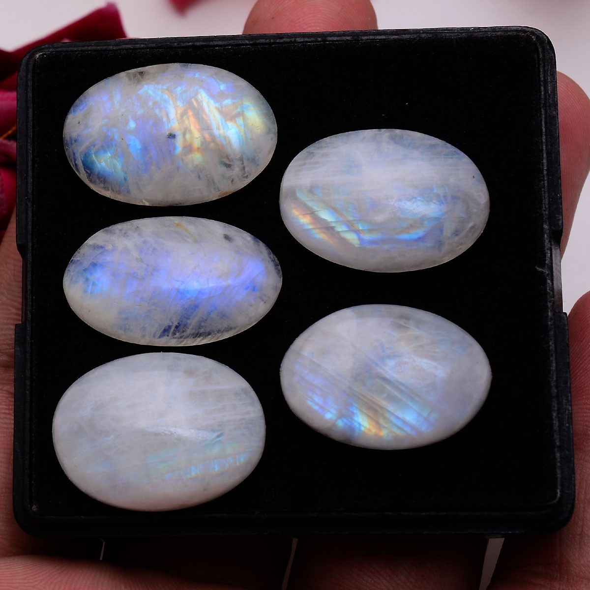 5 Pcs Natural Rainbow Moonstone 23mm-25mm Oval Cabochon Untreated Huge Gemstones