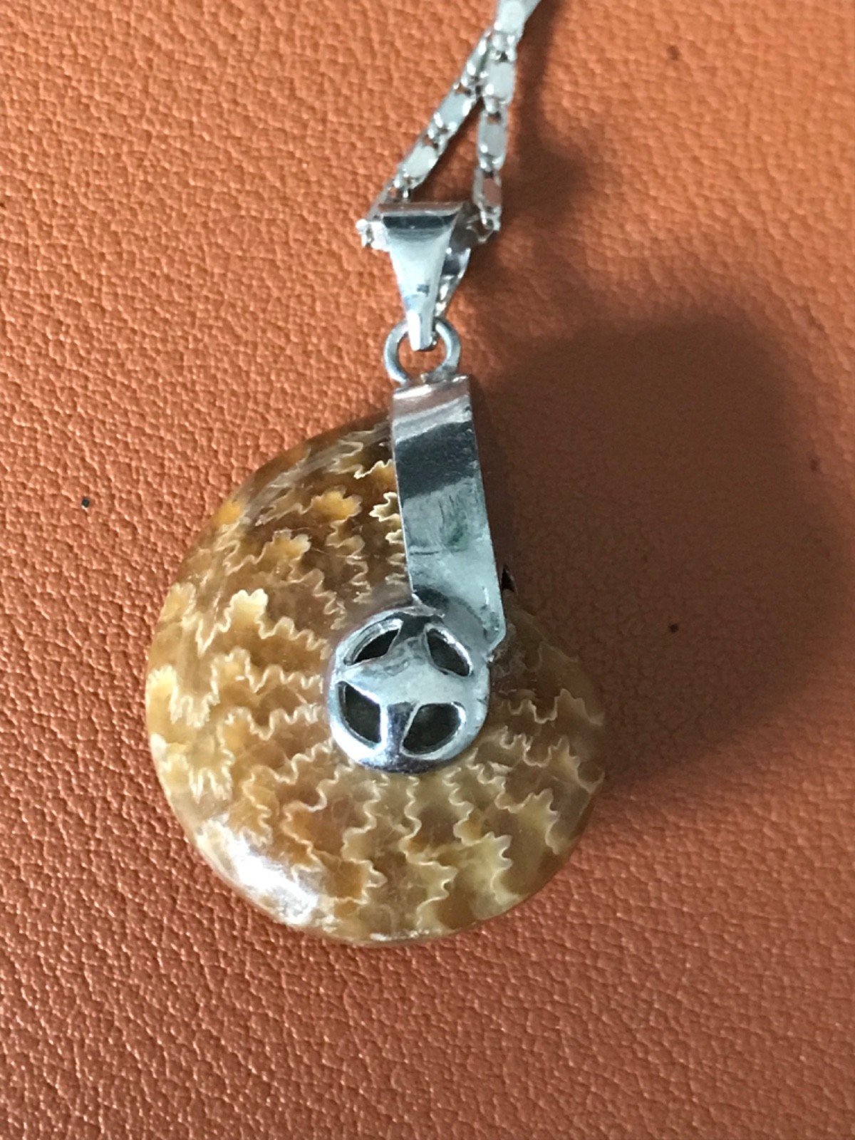 Ammonite Fossil Spiral Pendant WITH Necklace – Polished Prehistoric Shell