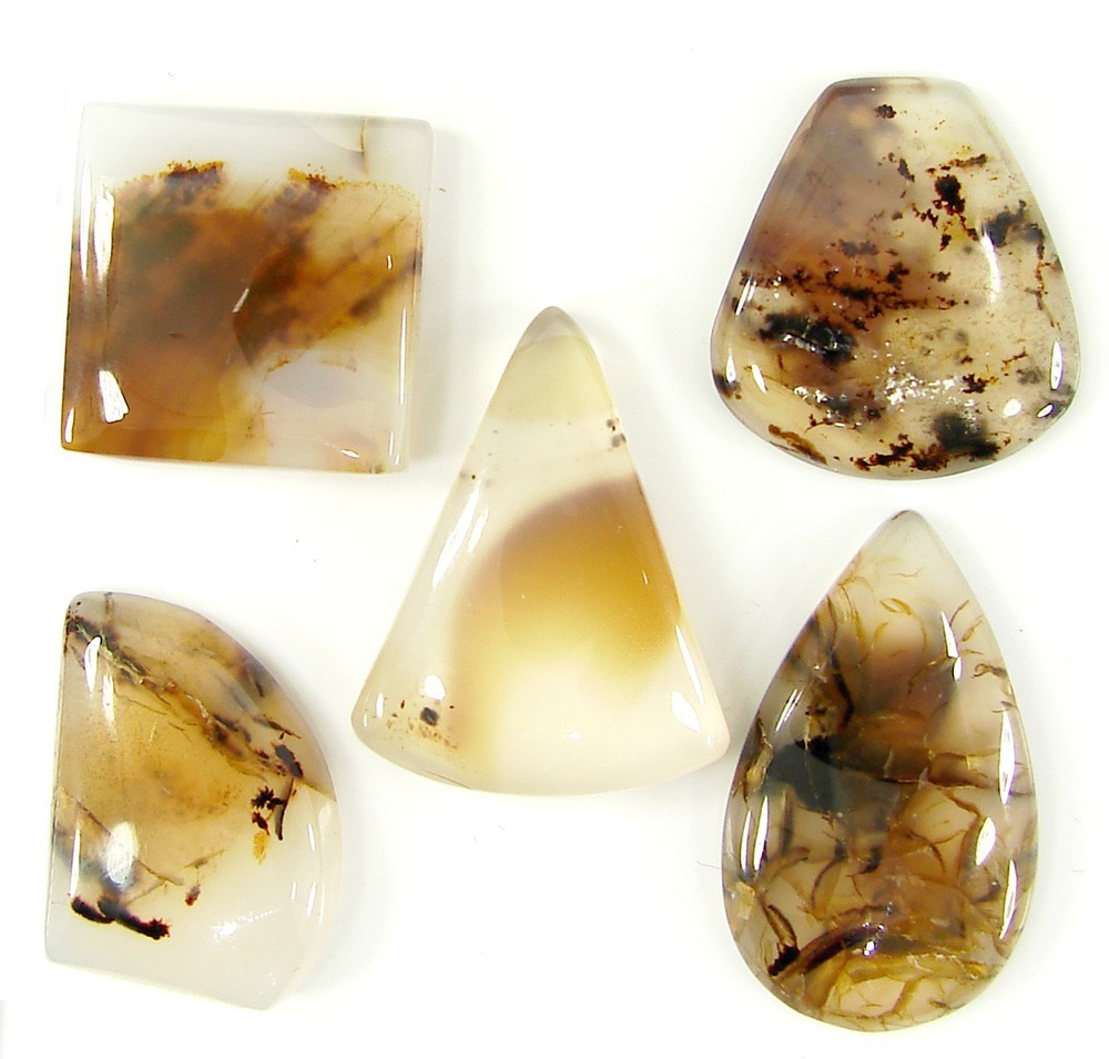 89.60 Ct Natural Botswana Agate Loose 19-28 mm Gemstone Cabochon 5 Pcs Lot- 2402