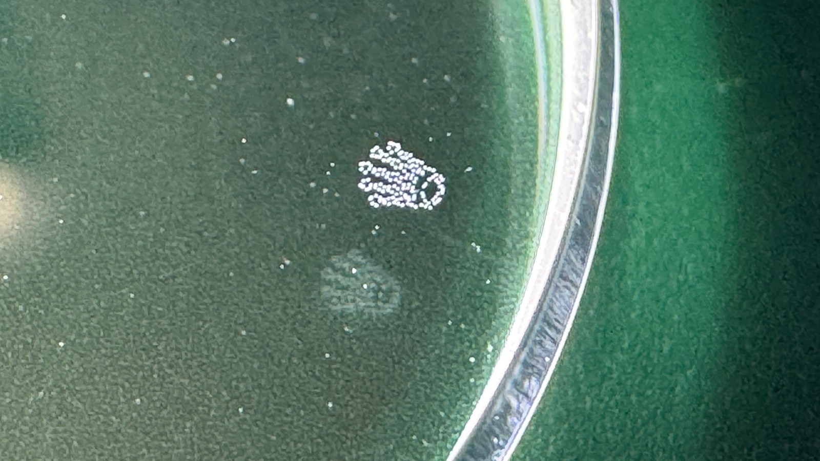 Rolex Sapphire Crystal Swiss Made Rolex Crystal AR LEC – 3.5mm Thickness