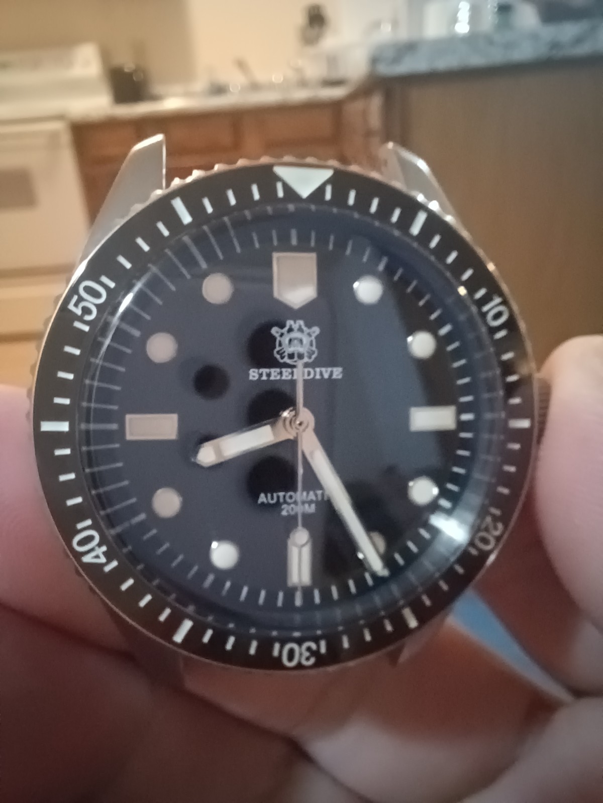Steeldive dive watch