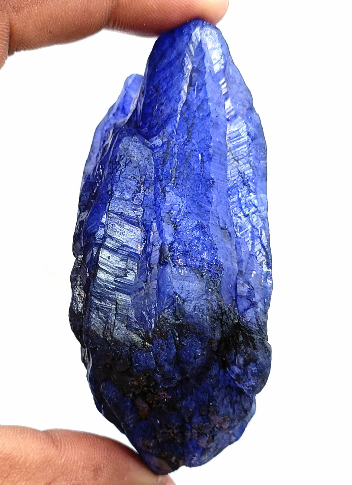 720 Ct Natural Blue Sapphire EGL Certified Uncut Rough Chunk Loose Gemstone 25S