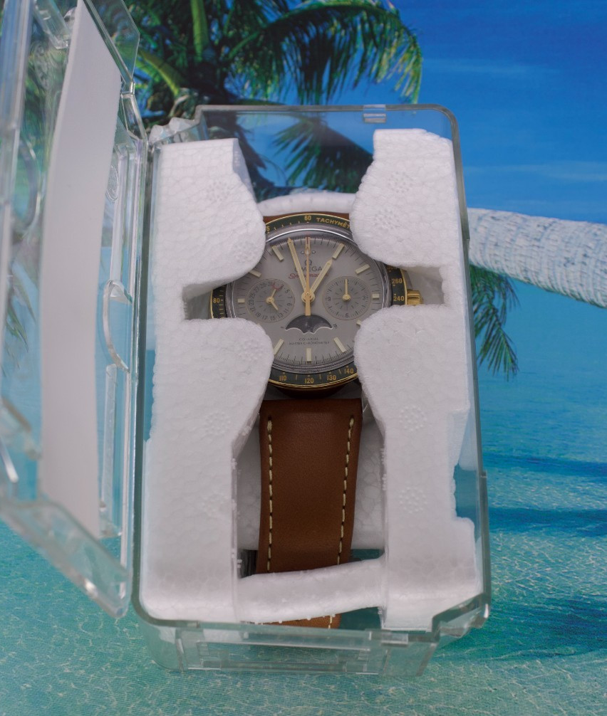 New Plastic Watch Coffin Case For Travel Or Storage