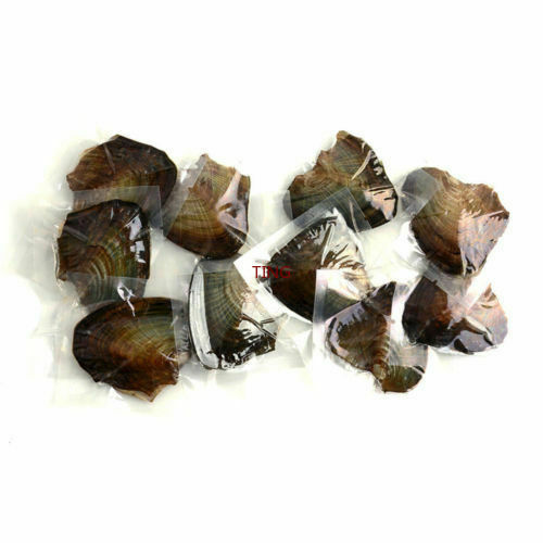 1/5/10/25/100pcs DIY Individually Wrapped Oysters with Large Pearls Gift 7-8MM