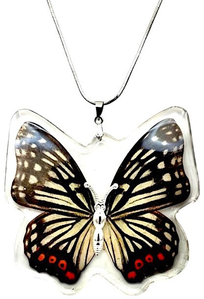 2 1/2″ NEW! Real INSECT White Black RED BUTTERFLY NECKLACE Jewelry PENDANT